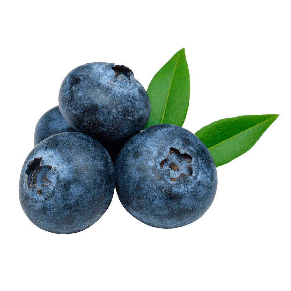 Comparar precios: Arándano, 125 G - Frutas En Pote - ¿Cuánto Cuesta? ¿Dónde Comprar?