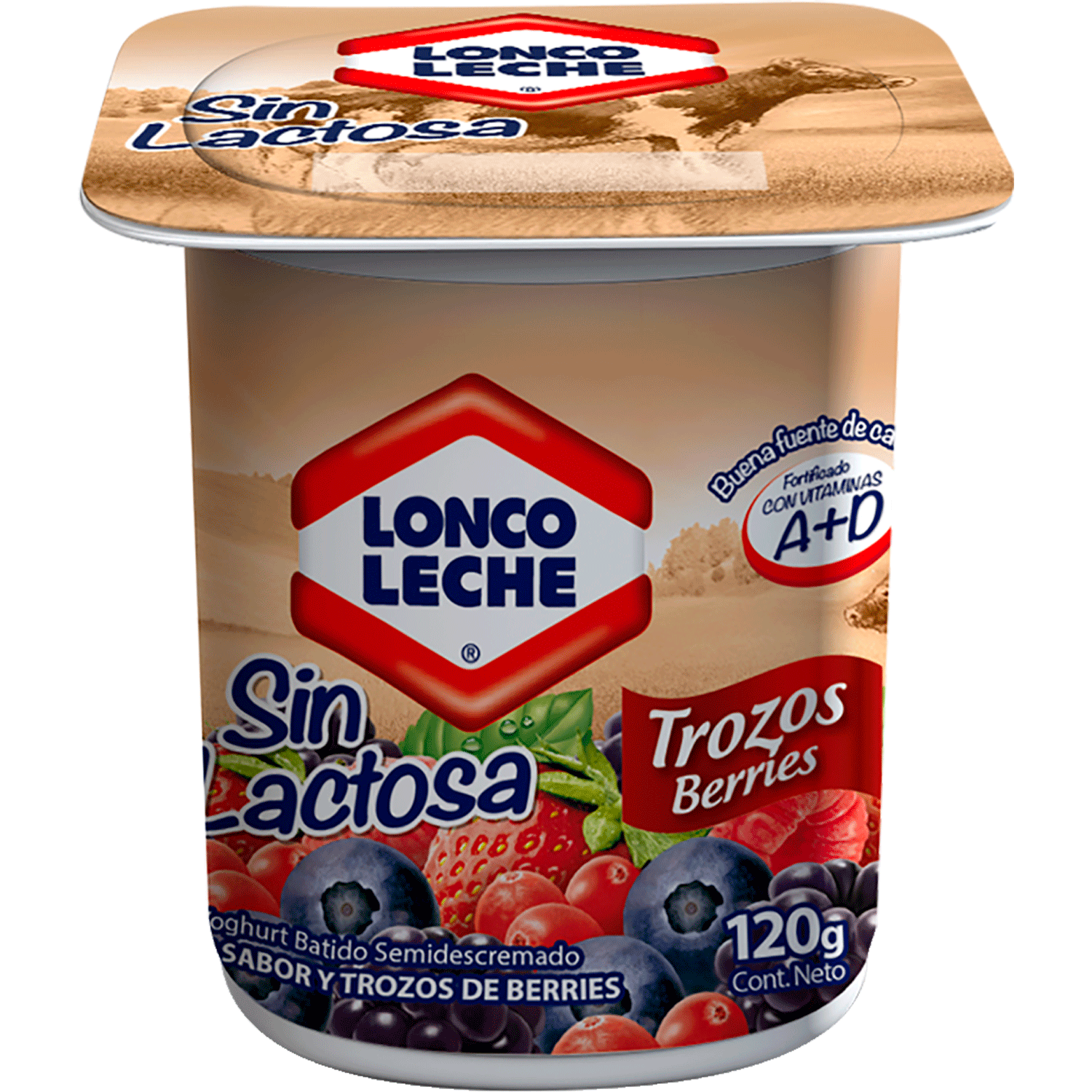 Encuentra en Jumbo el yogurt sin lactosa digestión Lonco Leche.