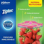 Bolsa ZIPLOC Grande 26.8x24.1 cm x 6.6 cm Cierre Facil