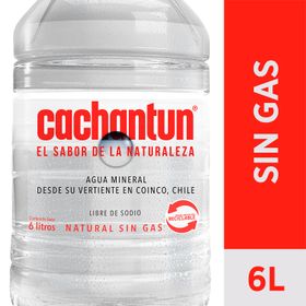 Agua sin gasEco De Los Andes Botella 1 L - Jumbo