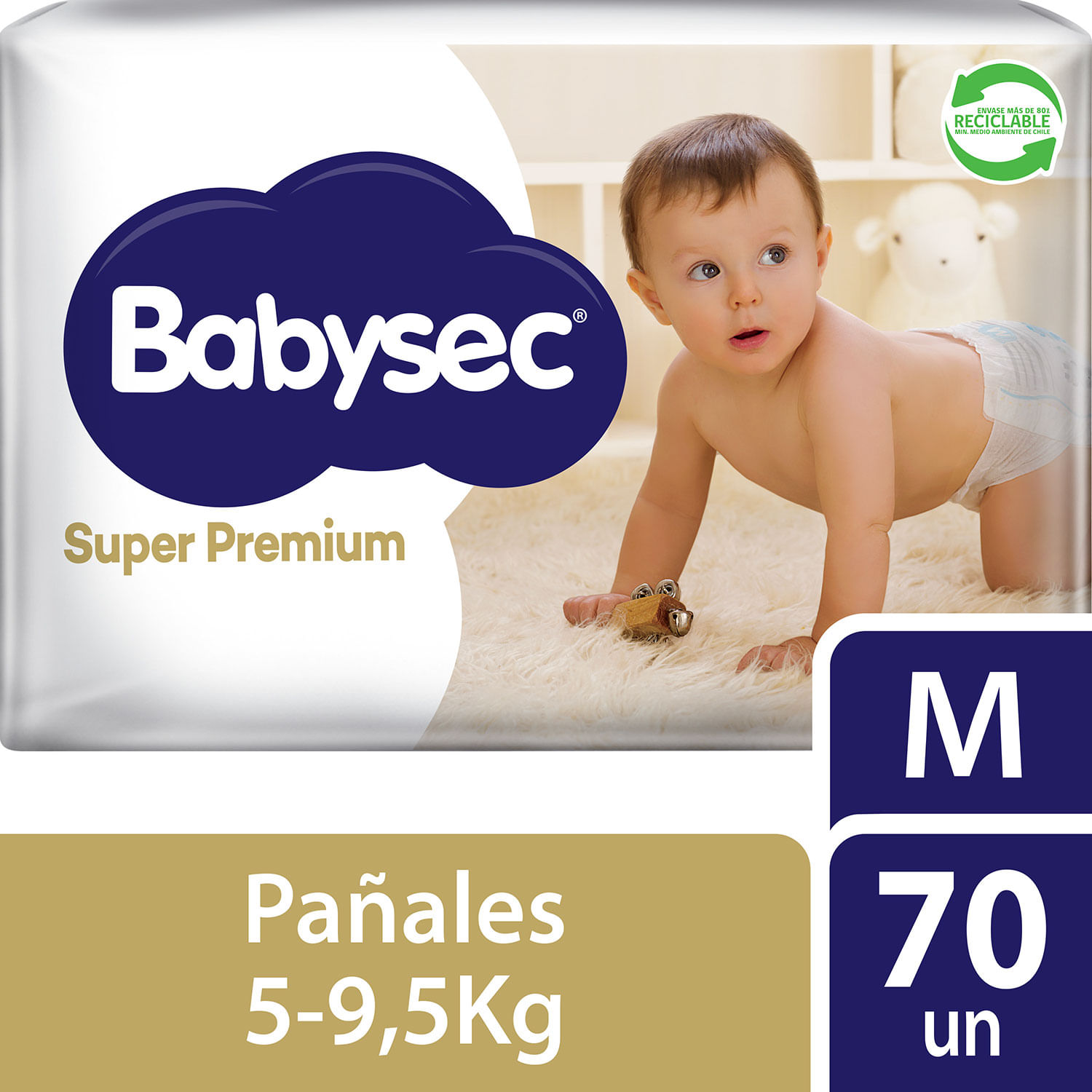 Toallitas Húmedas Babysec Premium 70un