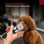 Jumbo maquina cortar pelo hotsell